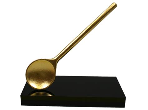 gouden pollepel gouden cadeau