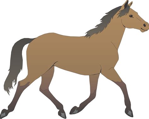 horse cartoon images clipart