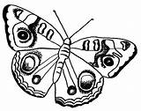 Mariposas Clipart Papillon Bing Monarch Library Outlines Ausmalbilder Schmetterling Perhoset Papillons Varityskuvia Colores sketch template