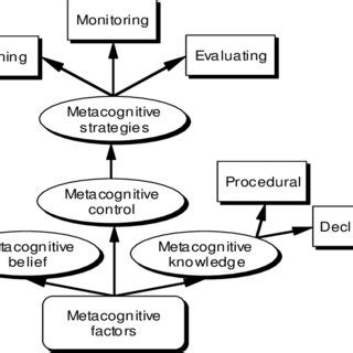 group metacognition model  scientific diagram