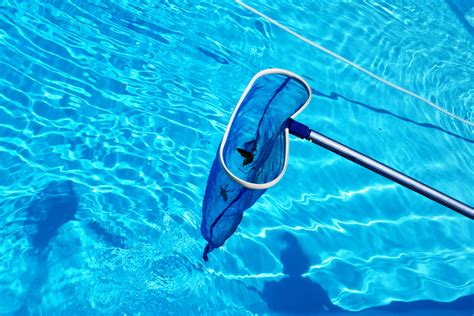 swimming pool cleaning  expert    singapore