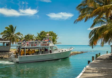 bahamas cruise excursions nassau ultimate snorkeling adventure