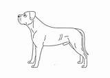 Mastiff Puppies sketch template