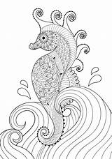 Seahorse Zeepaardje Cavalluccio Golven Zentangle Doodle sketch template