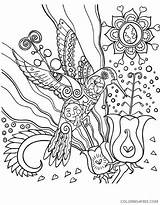 Coloring Pages Hummingbird Adults Adult Coloring4free Book Birds Humming Kids sketch template