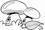 Mushroom Coloring Pages Trippy Mushrooms Ground Above Drawing Getdrawings sketch template