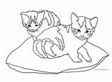 Cats Cat Coloring Two Pillow Pages Clipart Drawing Kittens Cliparts Print Clip Getdrawings Library Tree Comments sketch template