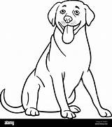 Retriever Hund sketch template
