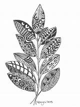 Coloring Pages Leaves Feathers Zentangle Adults Plant Feather Leaf Drawings sketch template