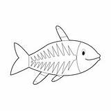 Fish Ray Animals Coloring Kids Tetra Xray Easy Maxillaris Search Fotolia sketch template