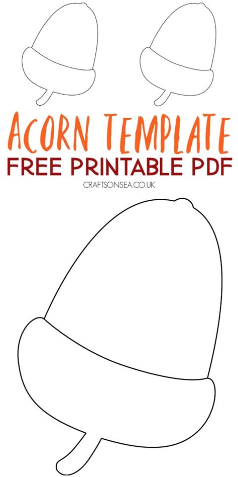acorn template printable  artofit