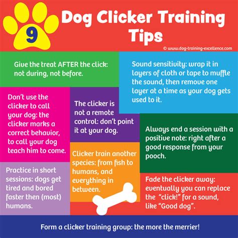 dog training tips  working   dog dog
