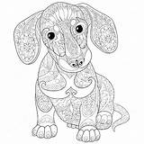 Coloring Dachshund Pages Dog Mandala Mandalas Puppy Hunde Adult Zentangle Ausmalbilder Colouring Hard Adults Printable Ausmalen Puppies Drawing Bilder Sketch sketch template