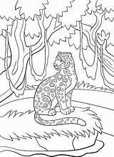Jaguars Jaguar sketch template