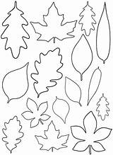 Leaf Trace Pattern Coloring Leaves Paper Template Popular sketch template