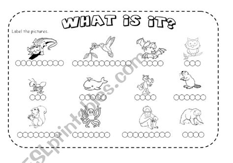 animals esl worksheet  karineline