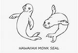 Printable Hawaiian Apso Monk Lhasa sketch template