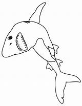 Coloring Shark Pages Sharks Kids Real Printactivities Cartoon Jaws Popular Coloringhome Library Clipart Comments sketch template