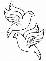 Bird Doves Dragoart sketch template