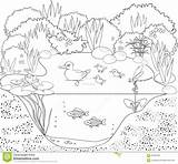 Pond Coloring Duck Stock Vector Illustration 1300 97kb Preview sketch template