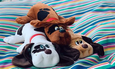 pound puppies are coming back in time for valentine s day