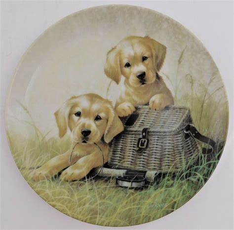 pin on collectors plates