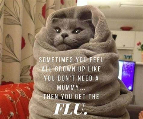 cold  flu memes motivational quotes images  pinterest boost immune system flu