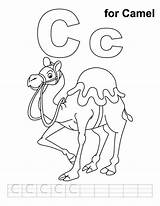 Coloring Camel Handwriting Practice Pages Letter Alphabet Caravan Camels Craft Kids Sheets Popular Letters Choose Board Coloringhome sketch template