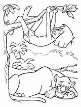 Jungle Dschungelbuch Malvorlagen Mowgli Coloring Coloriages Junglebook Kleurplaten Disneymalvorlagen Selva Dibujos Sauvages Kleurplaat Jungs Colorear Disneykleurplaten Bagheera Dorme Gioca Disneydibujos sketch template