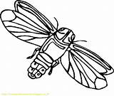 Serangga Mewarnai Insect Anak Coloring4free Pages Paud Tk Kreatifitas Meningkatkan Semoga Jiwa Seni Bermanfaat sketch template