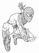 Spiderman Pages Coloring Cartoon Colouring Getdrawings sketch template