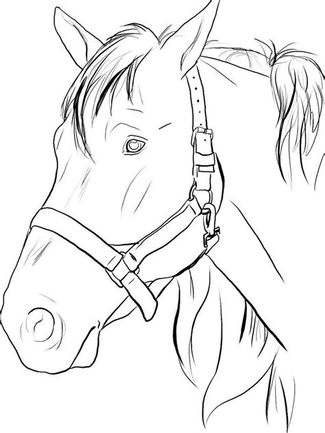 horse coloring pages adults    collection   horse