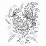 Premium Zentangle Rooster Drawn Illustration Vector Hand Style sketch template