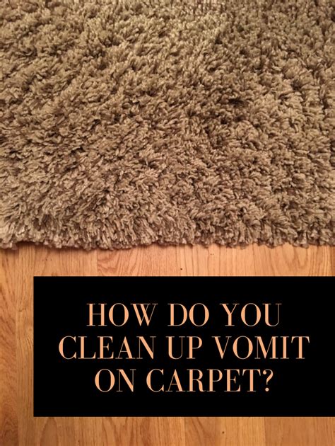 clean  vomit  carpet cleaningtutorialsnet