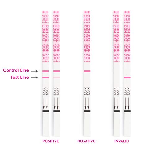 mua accumed pregnancy test strips  count individually wrapped pregnancy strips early home