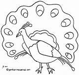 Burung Hewan Mewarnai Binatang Sketsa Menggambar sketch template