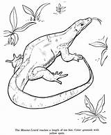 Lizard Coloring Animal Monitor Drawing Pages Drawings Color Lizards Kids Reptile Outline Printable Colouring Print Cute Identification Reptiles Animals Clipart sketch template