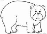 Bear Coloring Big Improvement Coloring4free Related Posts sketch template