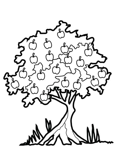 spring tree coloring page  getcoloringscom  printable