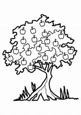 Tree Coloring Printable Pages Kids Clipart Clipartbest sketch template