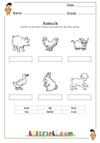 animal activity sheets kindergarten background allfunentertainment