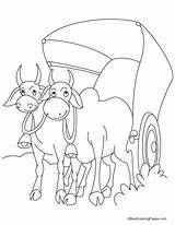Cart Coloring Bullock Pages Bulls Bull Two Harnessed Kids Cartwheel Designlooter Template Popular Comments sketch template