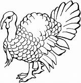 Turkey sketch template