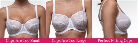 cup them right the rules for bra shopping appleblossom