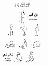 Salat Positions Ablution Ramadan Salaah Wudu Islamique Arabe Prayers Worksheets Coran Duaa Homework Salama sketch template