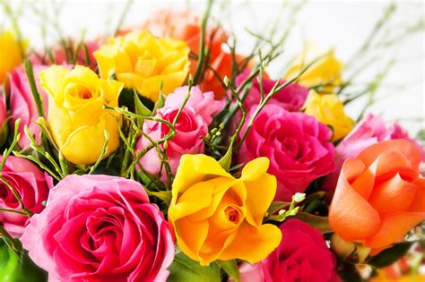 images fleurs gratuites  telecharger fleur de passion