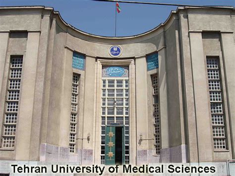 scholarships  international students  university  tehran  iran
