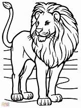 Coloring Pages Lion African Rasta Sheet Face Animals Lions Zoo Kids Color Printable Animal Print Tigers Book Male Getcolorings Sheets sketch template