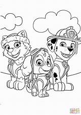 Sky Patrol Coloring Paw Pages Everest Getcolorings Skye Marshall sketch template