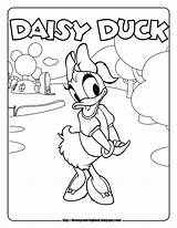 Daisy Coloring Pages Minnie Mouse Printable Getcolorings Bow Toons sketch template